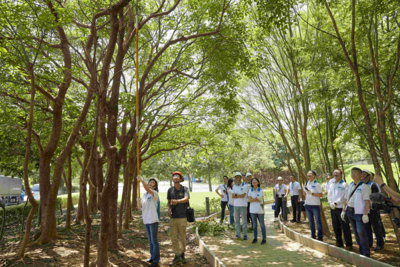 藝師教導大家認識樹木、檢查樹的健康狀況，學習修枝及碎枝覆土